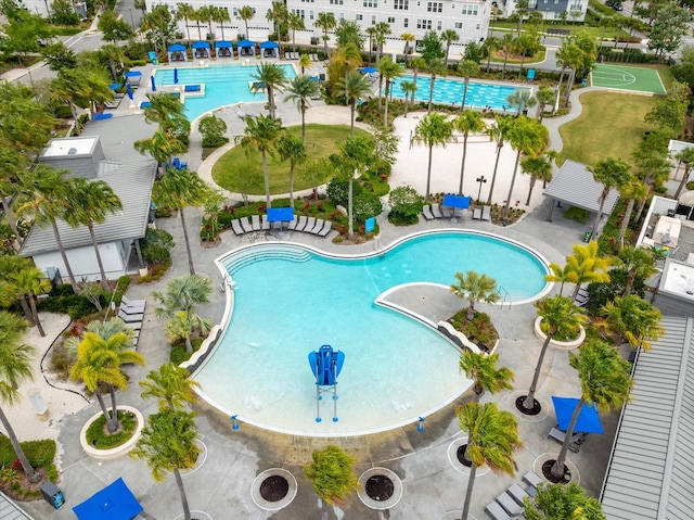 view of pool featuring a patio