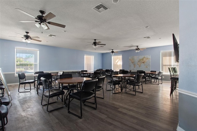 dining room with a healthy amount of sunlight, a textured ceiling, and dark hardwood / wood-style floors