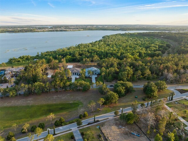 16909 Crete Way, Bella Collina, FL 34756 - photo 97