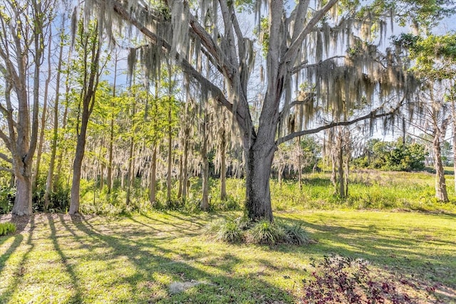 17601 Sawgrass Run, Tavares, FL 32778 - view of green lawn