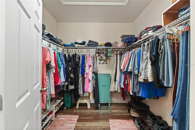 spacious closet featuring wood finished floors