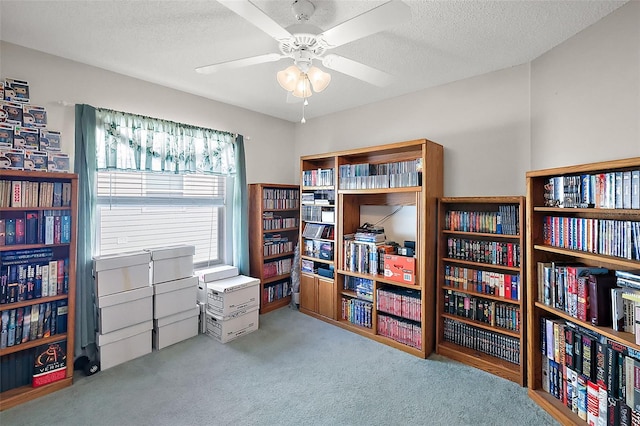 interior space featuring a textured ceiling and light colored carpet