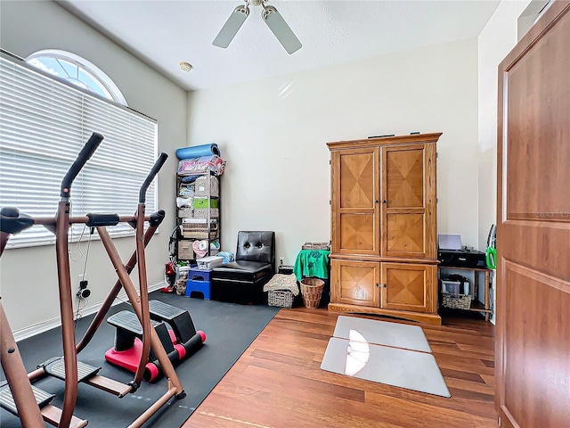 exercise area with ceiling fan and dark hardwood / wood-style flooring