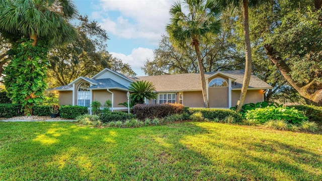 ranch-style house featuring a front yard