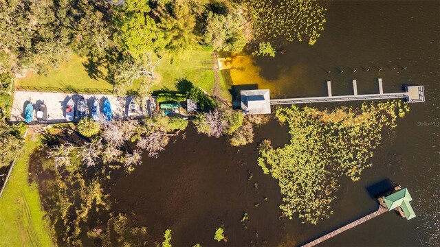 3064 Windham Dr, Eustis, FL 32726 - photo 63