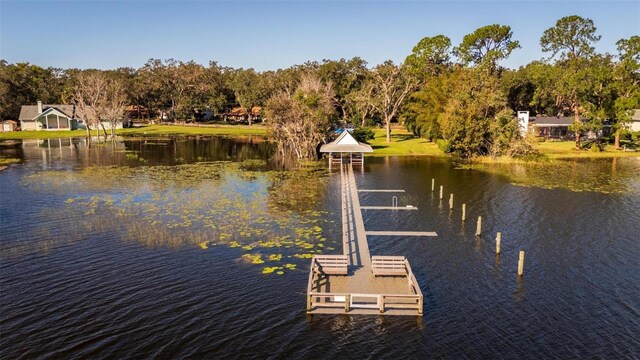 3064 Windham Dr, Eustis, FL 32726 - photo 64