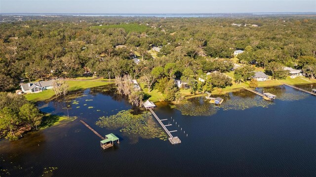 3064 Windham Dr, Eustis, FL 32726 - photo 67