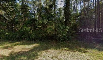 9238 N Athenia Dr, Citrus Springs FL, 34434 land for sale