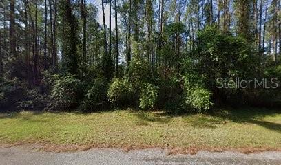 9244 N Athenia Dr, Citrus Springs FL, 34434 land for sale