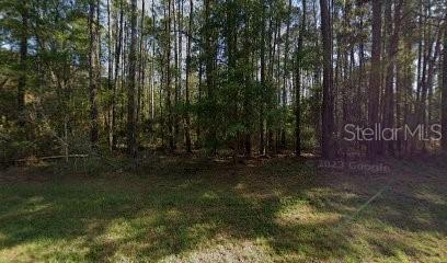 9261 N Athenia Dr, Citrus Springs FL, 34434 land for sale