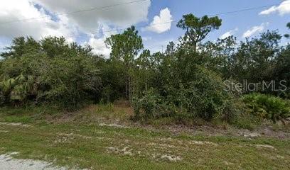 27182 Mandalay Dr, Punta Gorda FL, 33955 land for sale