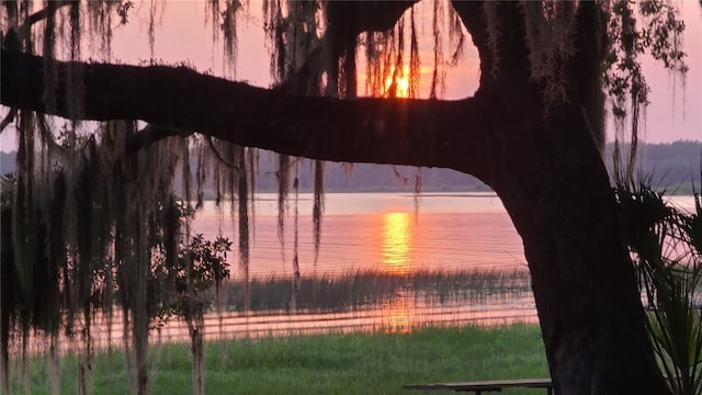 25205 NE 142nd St, Salt Springs, FL 32134 - photo 1