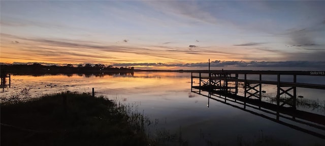 25205 NE 142nd St, Salt Springs, FL 32134 - photo 24