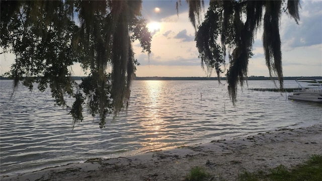 25205 NE 142nd St, Salt Springs, FL 32134 - photo 22