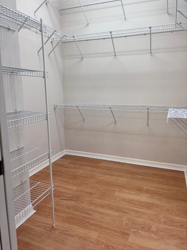 spacious closet with hardwood / wood-style flooring