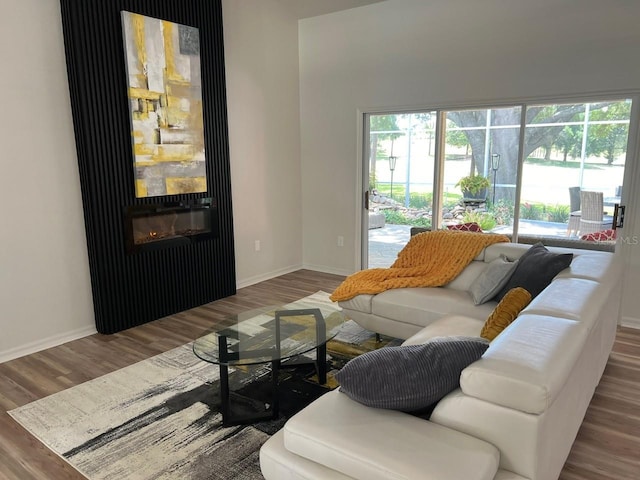 living room with wood-type flooring