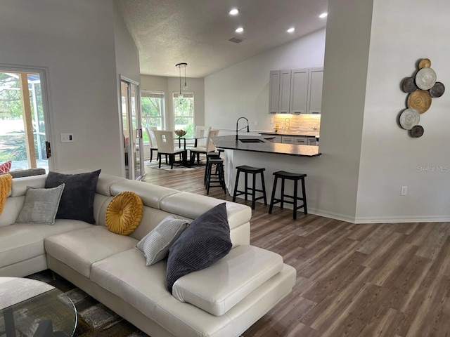 living room featuring lofted ceiling, a textured ceiling, sink, and dark hardwood / wood-style flooring