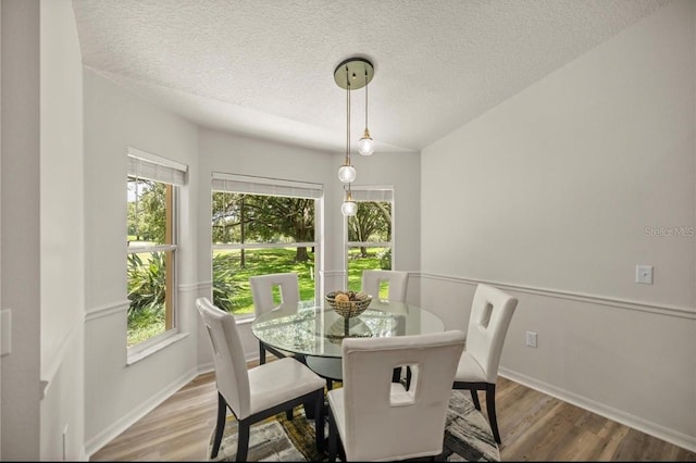 dining area featuring hardwood / wood-style flooring, a healthy amount of sunlight, and a textured ceiling