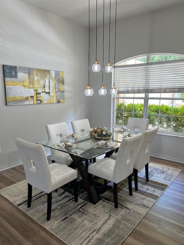 dining room featuring wood-type flooring