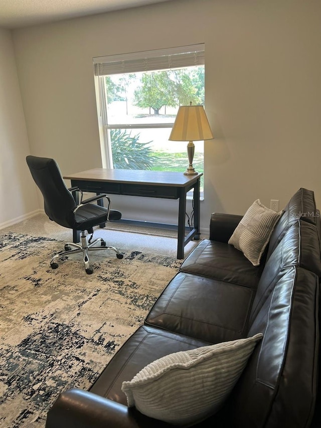 view of carpeted home office