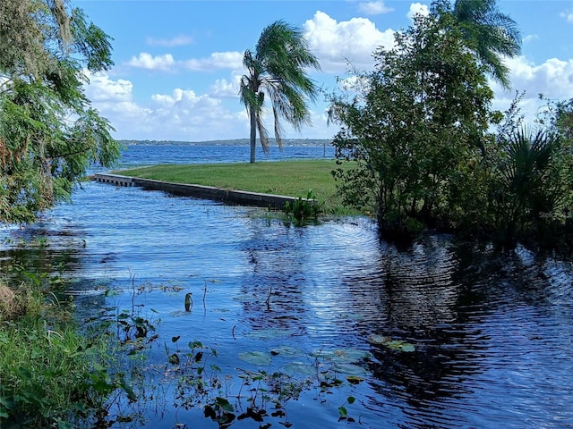 property view of water