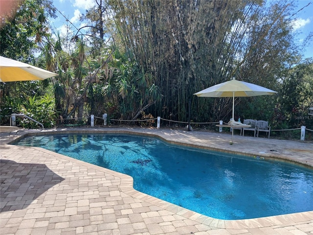 view of swimming pool with a patio