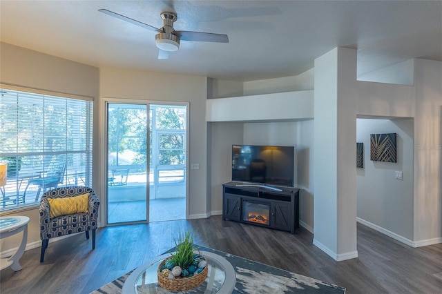 living room featuring ceiling fan and dark hardwood / wood-style floors