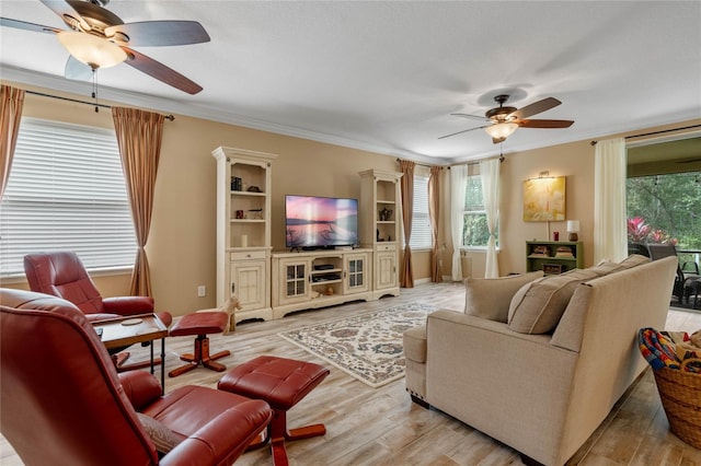 living room featuring ceiling fan, ornamental molding, and light hardwood / wood-style flooring