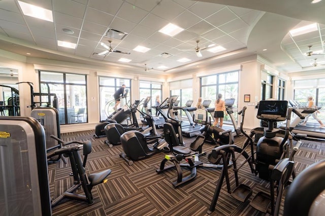 workout area with a drop ceiling, a healthy amount of sunlight, and ceiling fan