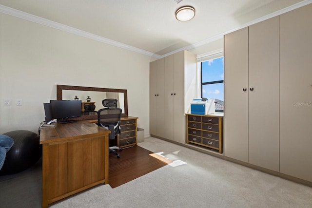 carpeted office space featuring ornamental molding