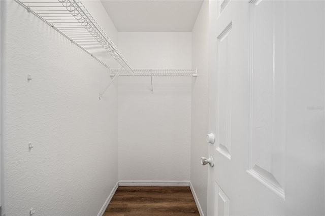 walk in closet featuring dark hardwood / wood-style flooring