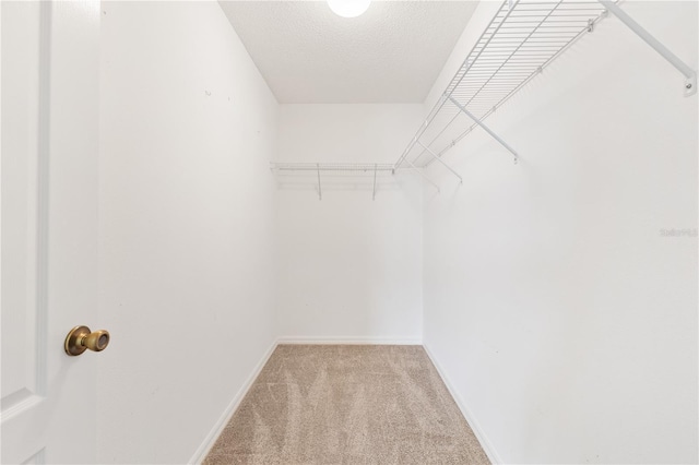 spacious closet featuring light colored carpet