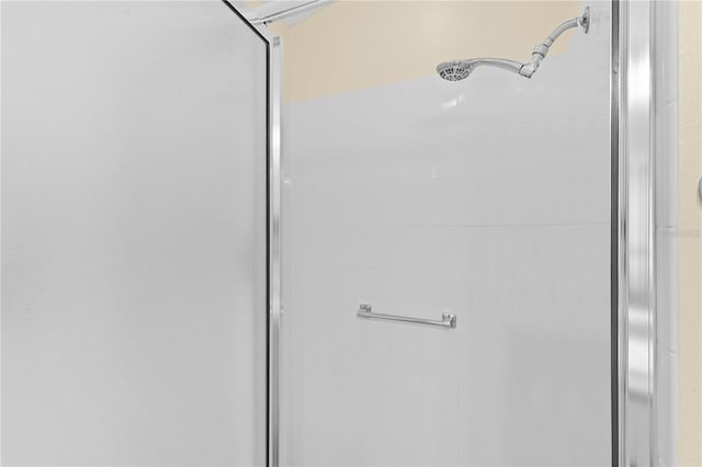 details with an enclosed shower