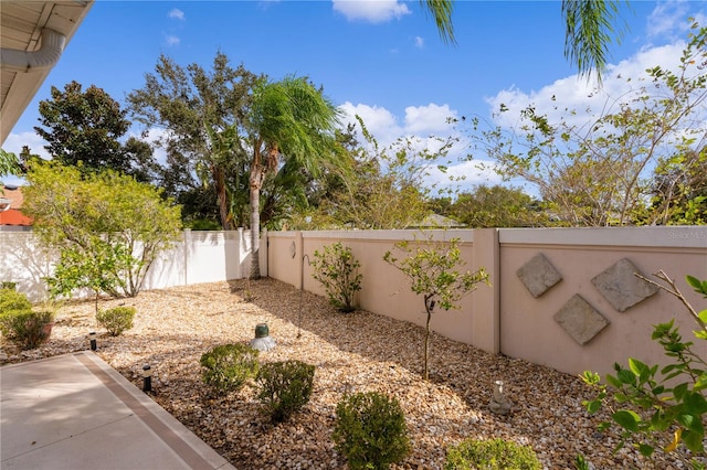 view of yard with a patio area