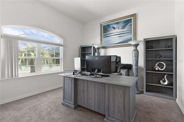 view of carpeted home office