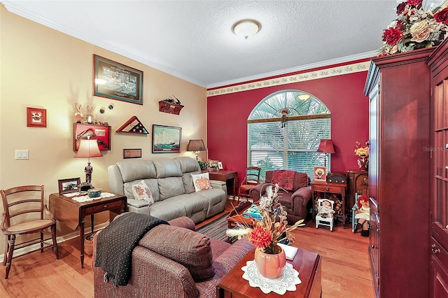 living room with a textured ceiling, crown molding, and light hardwood / wood-style flooring