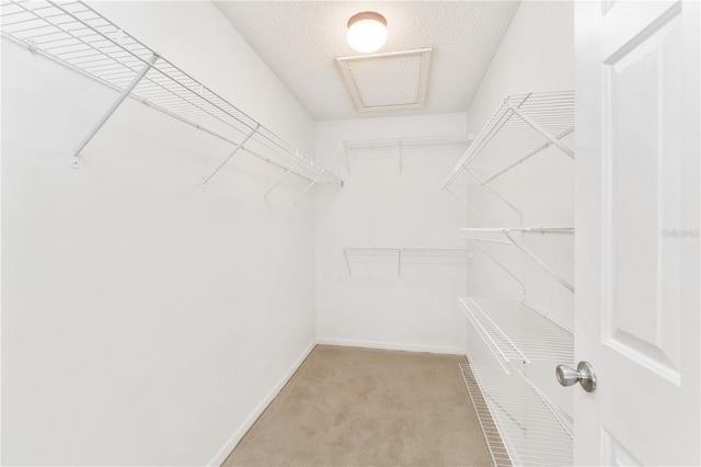 spacious closet featuring light colored carpet