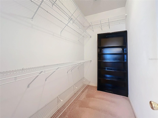 spacious closet with light carpet