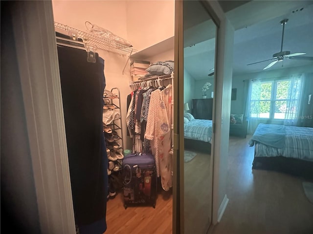 spacious closet featuring hardwood / wood-style floors and ceiling fan