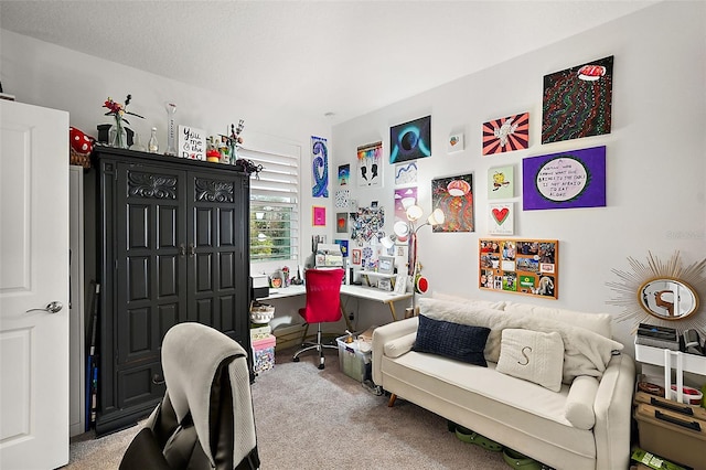 home office featuring light colored carpet