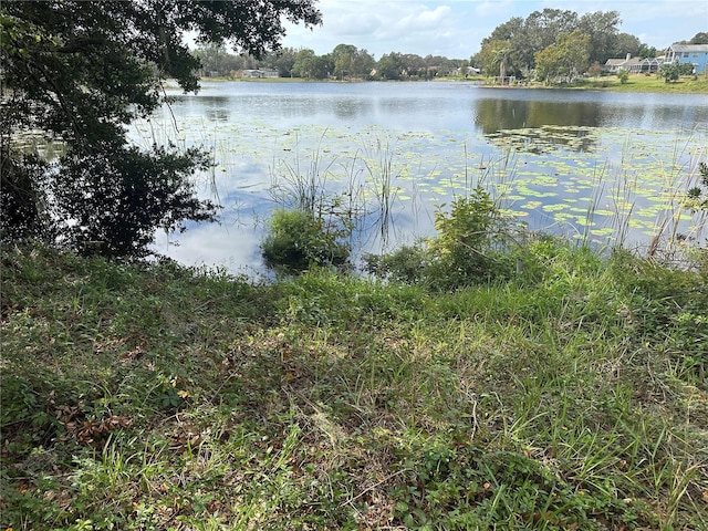 Luana Dr, Leesburg FL, 34788 land for sale