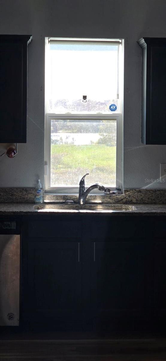 kitchen featuring stainless steel dishwasher, plenty of natural light, and sink