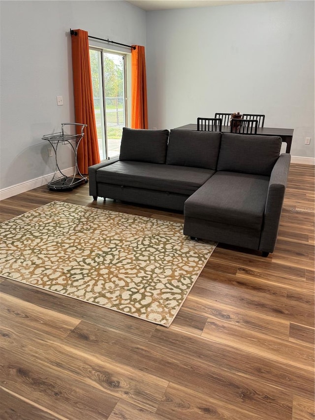 living room featuring wood-type flooring