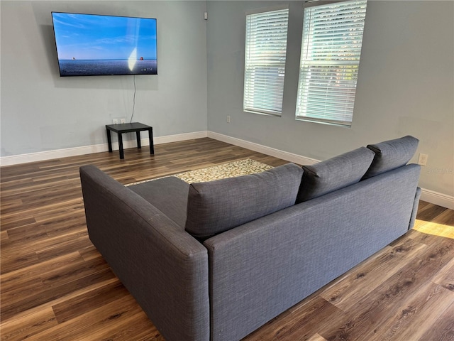 living room featuring dark hardwood / wood-style flooring