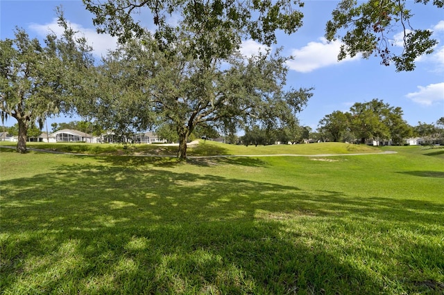 view of community featuring a yard