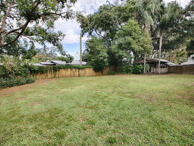 351 W 10th Ave, Mount Dora, FL 32757 - view of yard