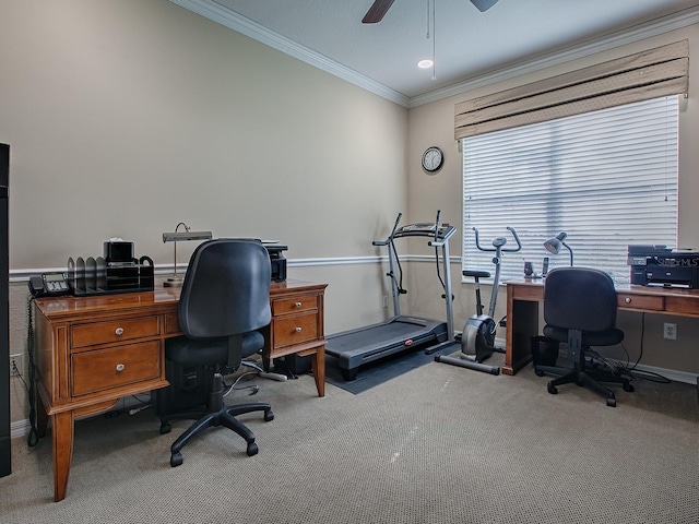 office area featuring ceiling fan, carpet flooring, and ornamental molding