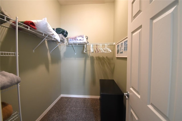 walk in closet featuring carpet