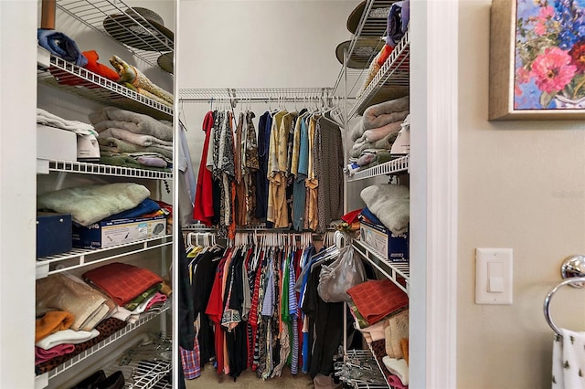 spacious closet with carpet floors