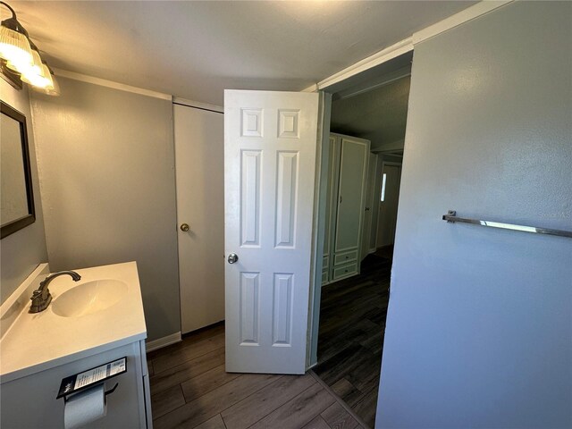 bathroom featuring wood finished floors and vanity